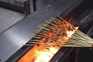 石家庄烤肉串爆料视频,街头美食新宠，视频曝光引热议