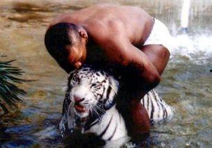 王老虎被爆料了吗视频,揭秘背后真相 第2张 王老虎被爆料了吗视频,揭秘背后真相 第2张