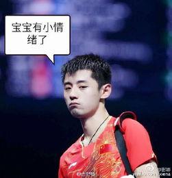 杨蓉爆料张继科视频,事件背后真相揭秘